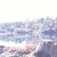 img-slide-scans175